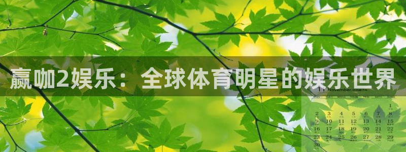 太阳成集团tyc9728：赢咖2娱乐：全球体育明星的娱乐世界
