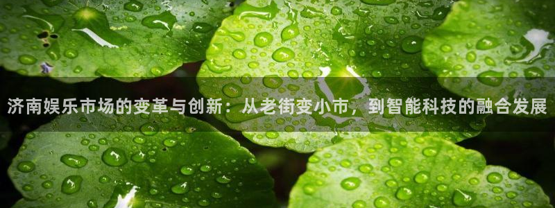 太阳成集团tyc9728：济南娱乐市场的变革与创新：从老街变小市，到智能科技的融合发展