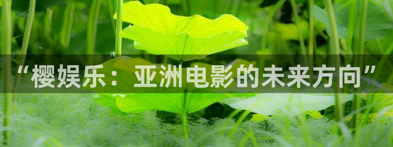 太阳成集团tyc9728：“樱娱乐：亚洲电影的未来方向”